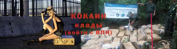 крисы Горняк