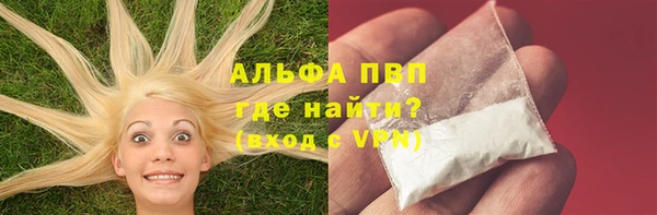 крисы Горняк