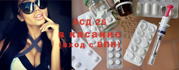 крисы Горняк