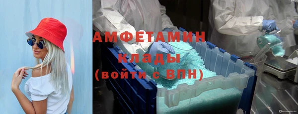 крисы Горняк