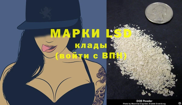 крисы Горняк